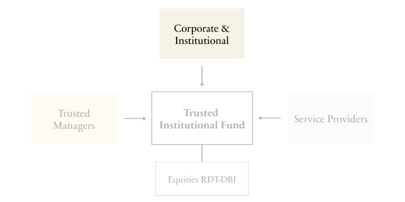 Diagram showing eligible corporate and institutional investors who can participate in the fund